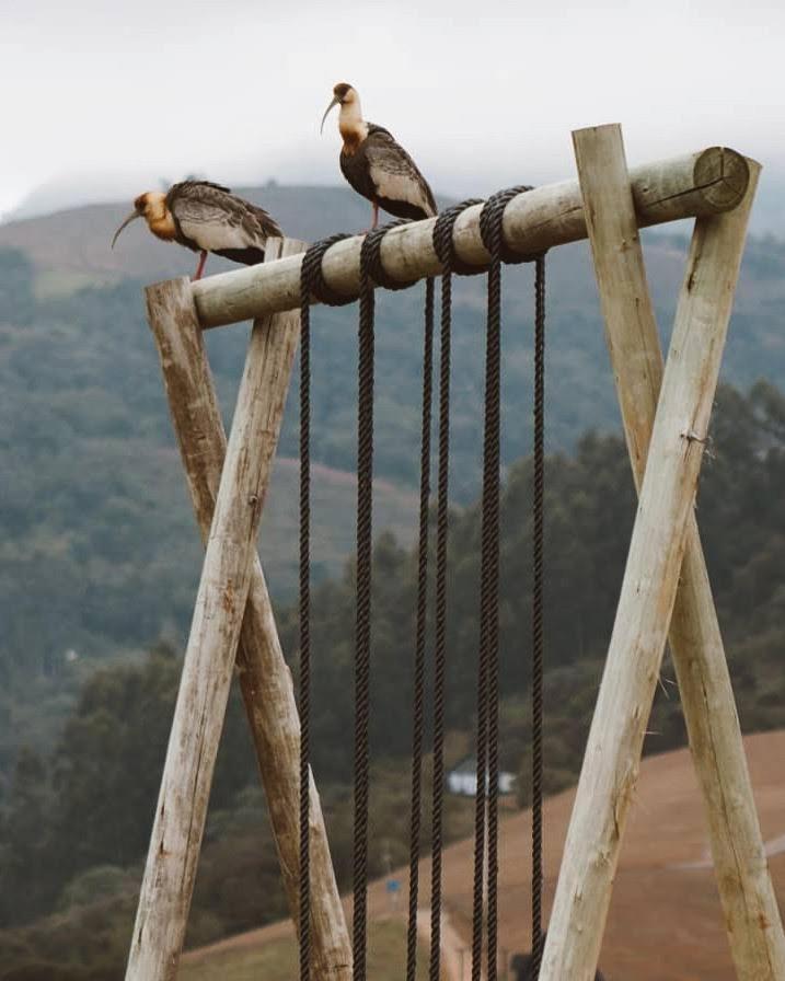 Chales O Refugio Alfredo Wagner Ngoại thất bức ảnh